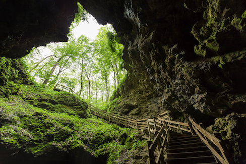 Set of wooden stairs leading out of a cave.