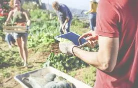 Person holding tablet as people with baskets full of fruit and vegetables walk towards them.