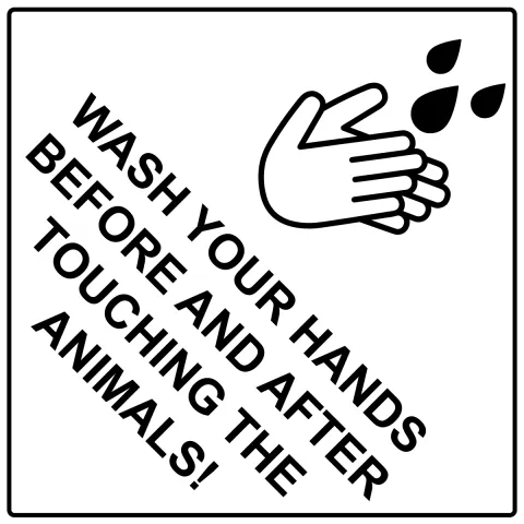 Wash hands