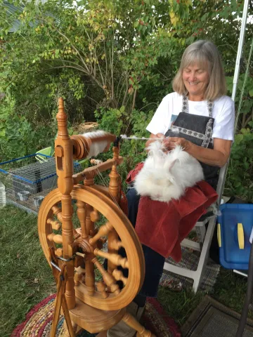 Still Water Fiber Farm creates a memorable juxtaposition by spinning pure Angora rabbit fur yarn directly from rabbits.