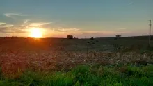 Woven Strong Farm at sunset.