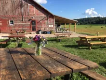 Picnic tables at Luna Valley Farm with red barn in background.