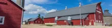 Red buildings on the Tyden Farm.