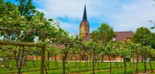 Santa Maria Winery with church steeple in the background.