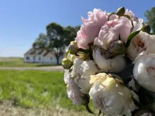 The Barnswallow Cottage during Peony season.