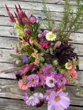 Bucket of picked flowers in varying colors and varieties.
