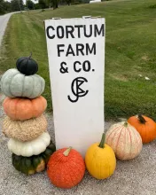 Pumpkins next to a Cortum Farm sign.