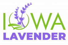 Iowa Lavender Logo