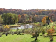 The apple orchard at Wilson's Orchard with a lake in the background.
