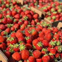 Boxes of ripe strawberries.