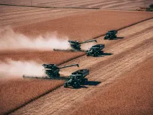 Two combines harvesting soybeans during fall harvest in Iowa.