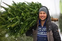 Smiling man with cut Christmas tree slung over shoulder.