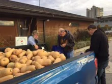 Truck bed full of squash.