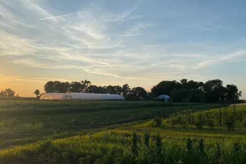 The sunset over Puffer Roske Farm high tunnel green houses and fields.