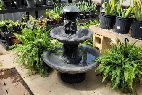 Greenery surrounding a fountain.