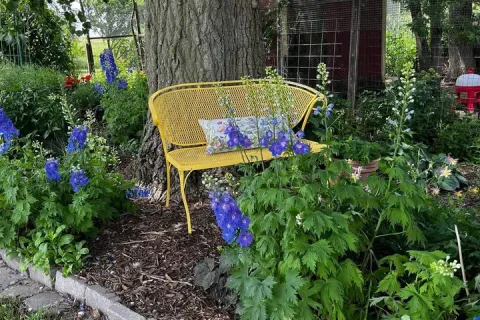 Bench situated amongst greenery with blooming purple flowers.