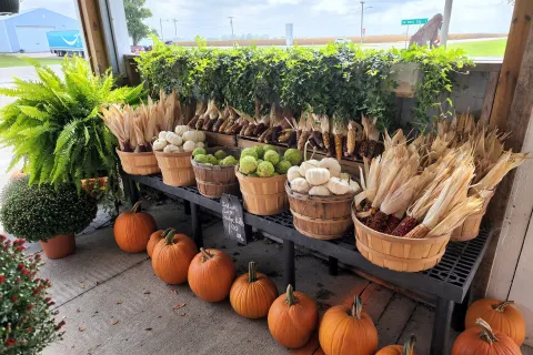 Vegetables at Slim's Country Market.