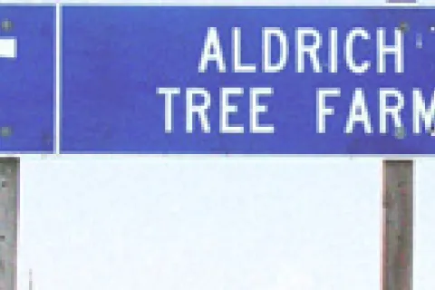 Aldrich Tree Farm