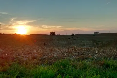 Woven Strong Farm at sunset.