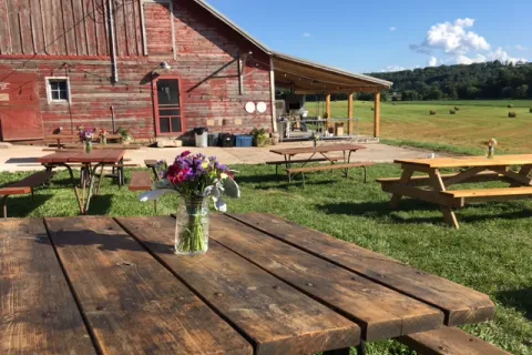 Picnic tables at Luna Valley Farm with red barn in background.