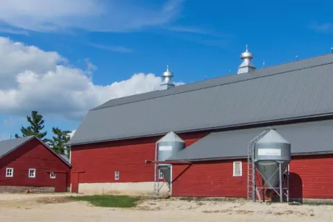 Red buildings on the Tyden Farm.