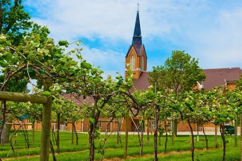 Santa Maria Winery with church steeple in the background.