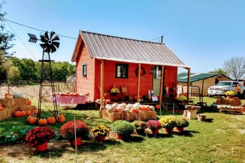 Farm stand, garden produce, baked goods, old fashioned homestead 