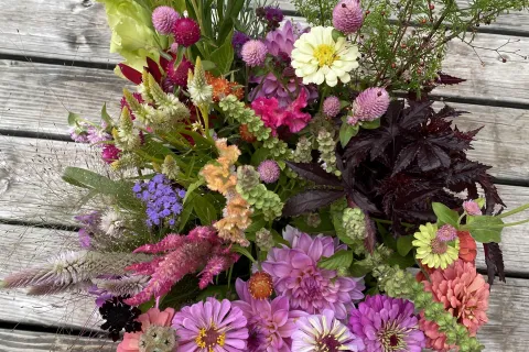 Bucket of picked flowers in varying colors and varieties.