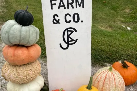 Pumpkins next to a Cortum Farm sign.