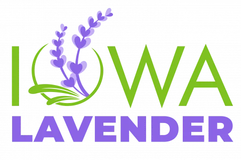 Iowa Lavender Logo