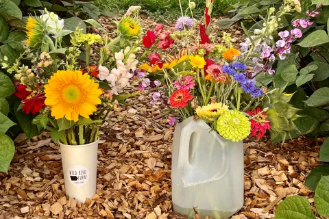 Cup and milk jug of cut flower arrangment.