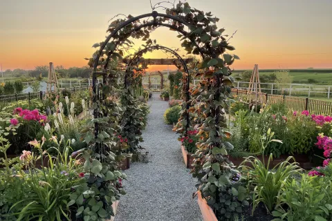 Bochner Farms Cottage Garden