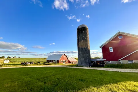 people dining in a farm landscape with barns on a sunny summer day