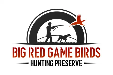 Big Red Game Birds Logo