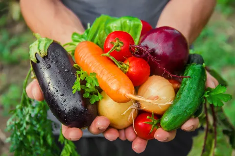 Holding vegetables in the garden