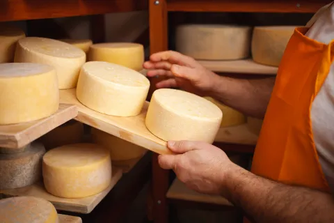 Cheese in cellar